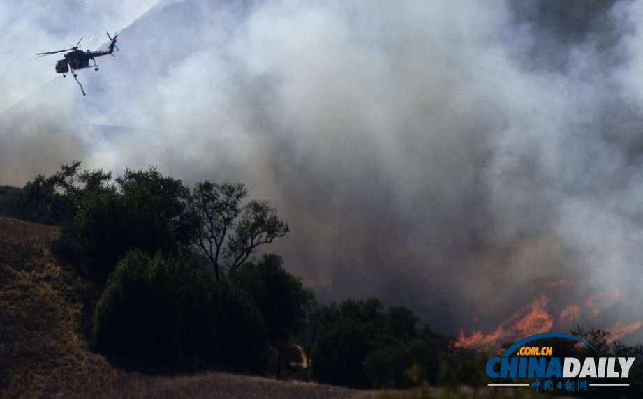 美國洛杉磯一汽車起火引發森林火災 濃煙滾滾（圖）
