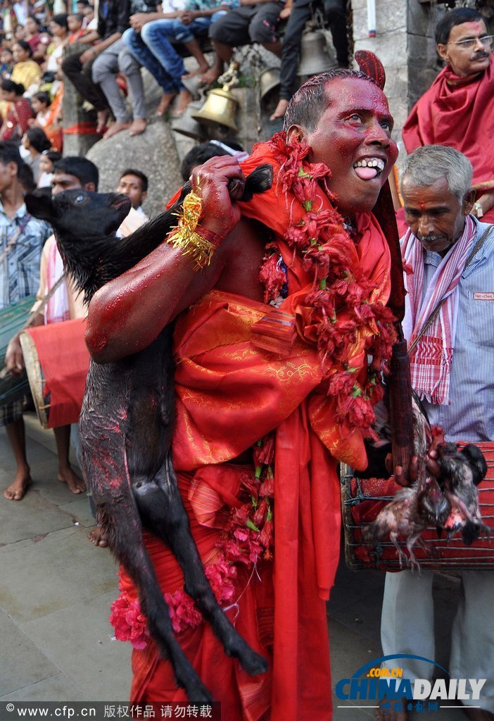 印度慶祝傳統節日 另類舞蹈上演“血色激情”