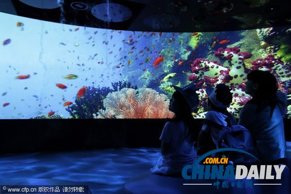 日本公司聯(lián)手BBC打造的體感博物館正式開放(圖)