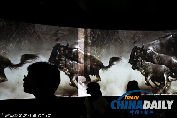 日本公司聯手BBC打造的體感博物館正式開放(圖)