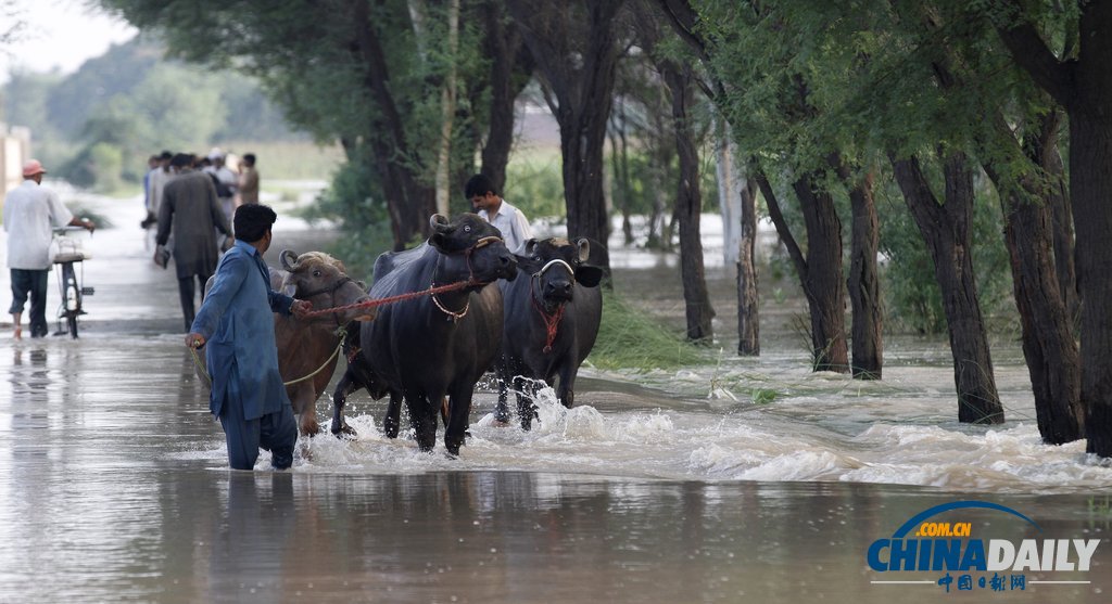 巴基斯坦洪水已造成至少108人遇難 形勢嚴(yán)峻（高清組圖）