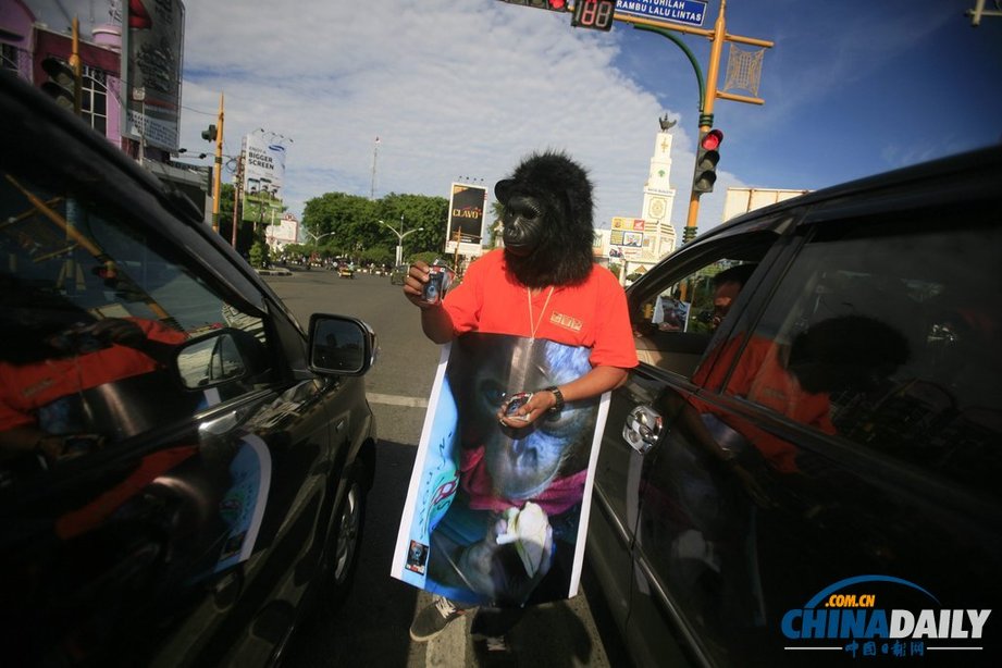 印尼動物保護主義者街頭“變身” 抗議將猩猩當寵物（組圖）