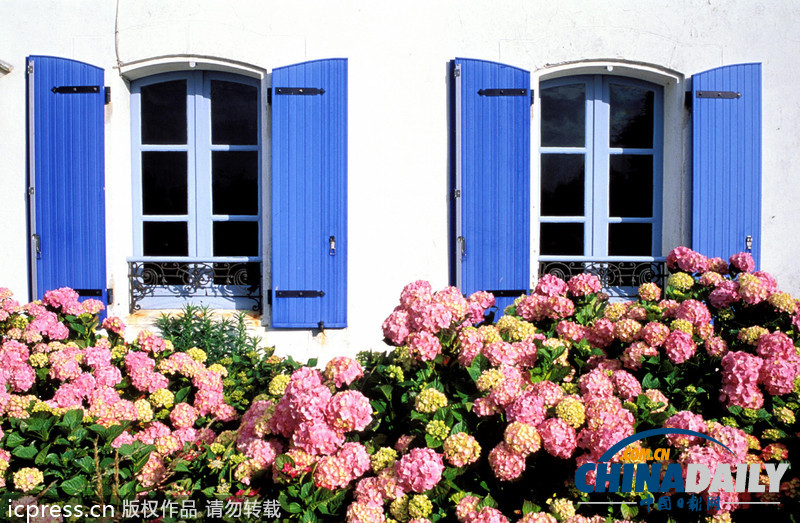 漫步歐洲田園小鎮 邂逅花窗邊的浪漫（高清組圖）