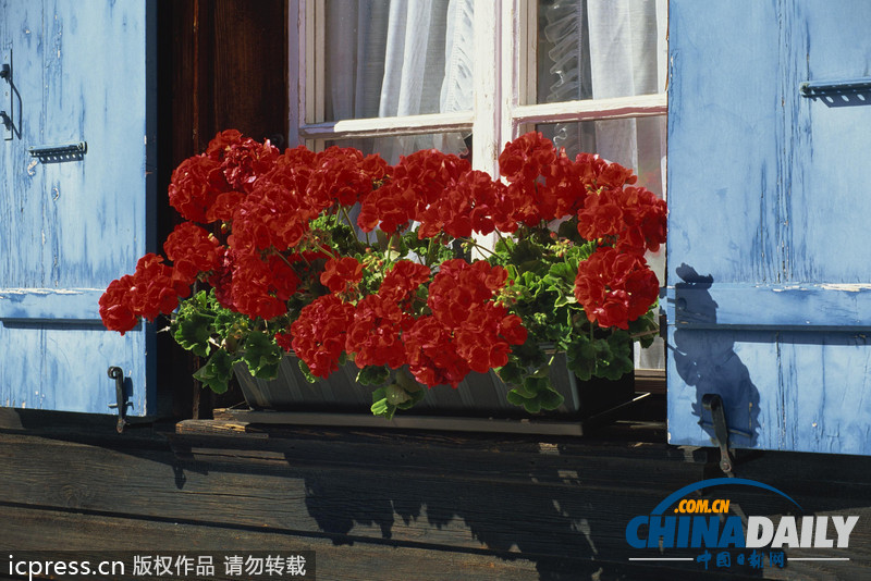 漫步歐洲田園小鎮 邂逅花窗邊的浪漫（高清組圖）