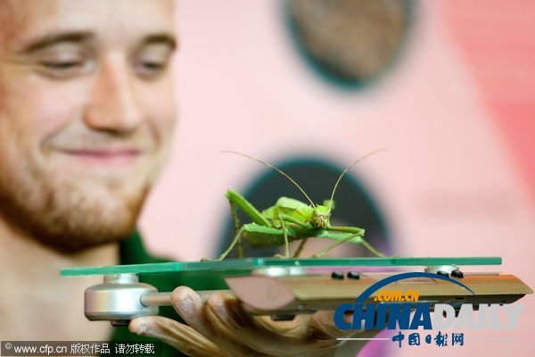 倫敦動(dòng)物園年度大體檢啟動(dòng) 各萌主乖乖“入甕”（組圖）