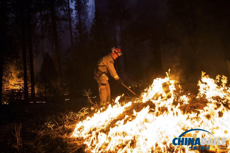加州森林大火持續蔓延 舊金山水源遭到威脅（組圖）