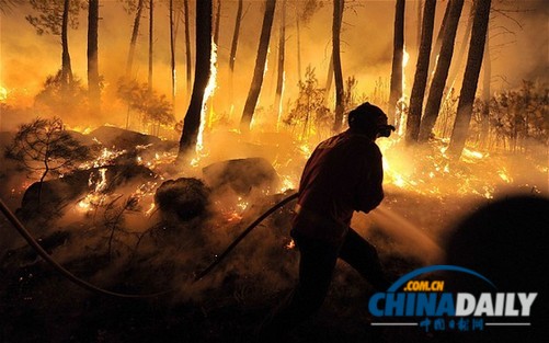 葡萄牙森林大火肆虐 導致一名女性消防員死亡