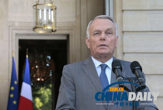 法公布敘政府使用化武證據 稱敘反對派無能力發動襲擊