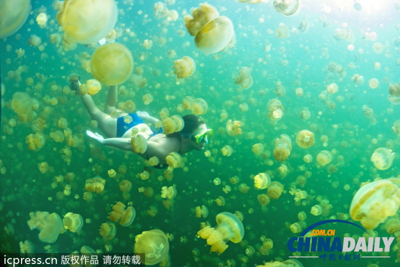 比基尼美女與水母同游 夢幻場景亦幻亦真 <BR>