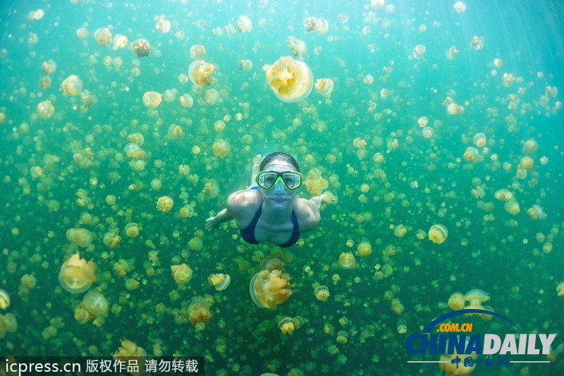 比基尼美女與水母同游 夢幻場景亦幻亦真 <BR>