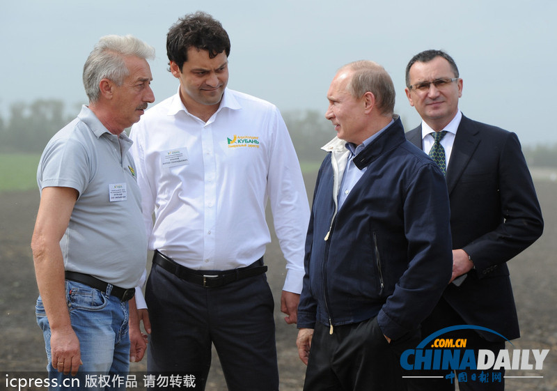 普京視察秋收情況 自稱對著鏡頭很難盡情用餐（圖）