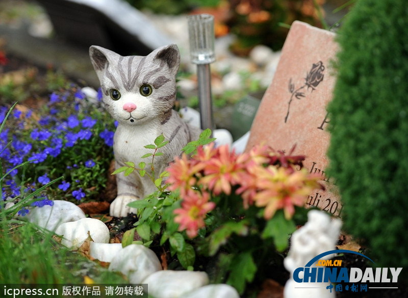 組圖：緬懷“家庭至親” 德國(guó)寵物墓地頗受歡迎