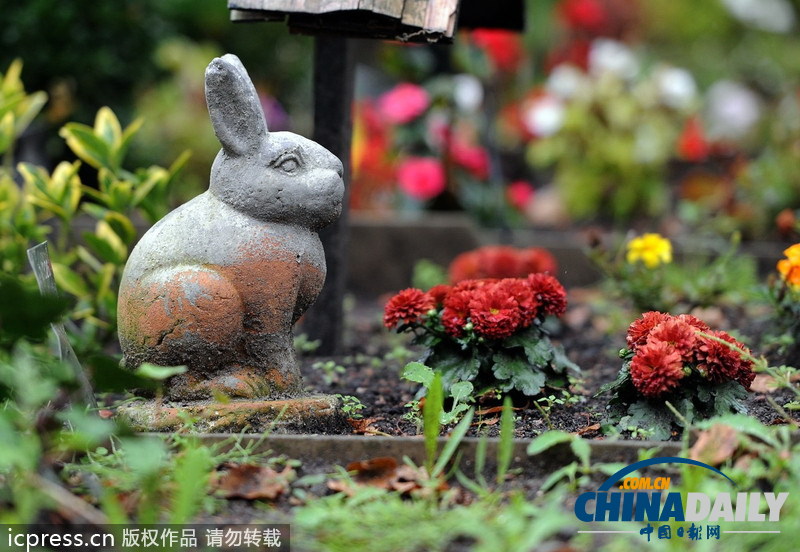 組圖：緬懷“家庭至親” 德國寵物墓地頗受歡迎