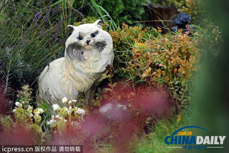 組圖：緬懷“家庭至親” 德國寵物墓地頗受歡迎