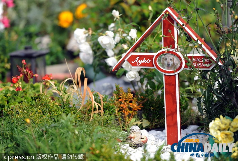 組圖：緬懷“家庭至親” 德國寵物墓地頗受歡迎