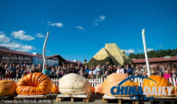 德國(guó)南瓜大賽舉行 巨型“瓜王”驚呆小伙伴