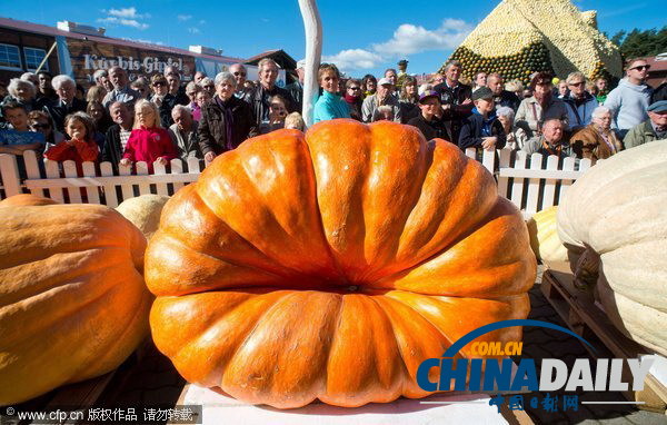 德國南瓜大賽舉行 巨型“瓜王”驚呆小伙伴