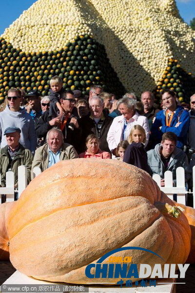 德國南瓜大賽舉行 巨型“瓜王”驚呆小伙伴