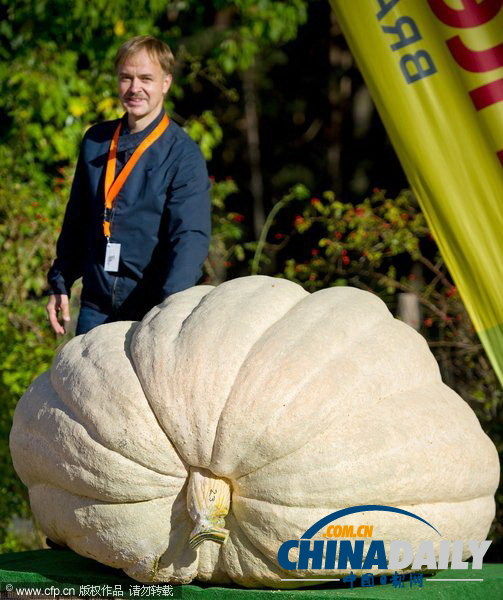 德國南瓜大賽舉行 巨型“瓜王”驚呆小伙伴