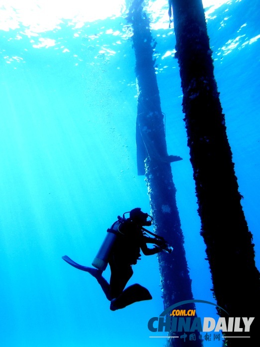 玩在印尼:巴厘島潛水傻瓜指南(組圖)