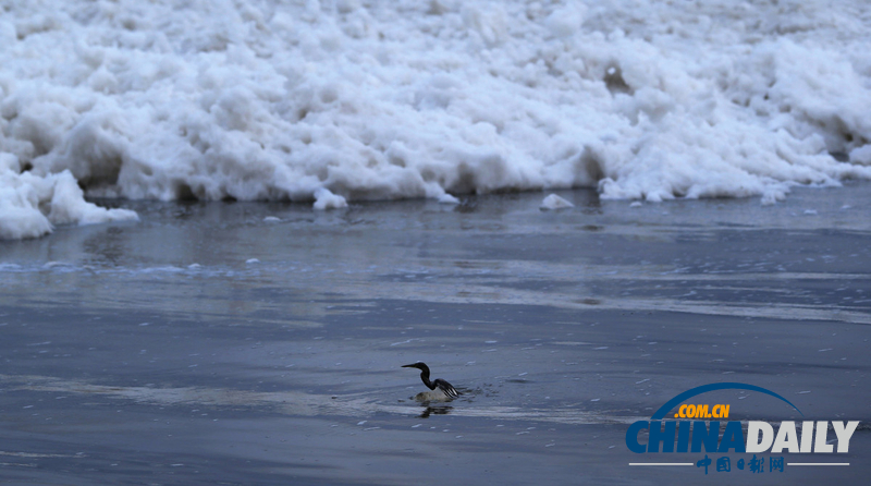 印度河流驚現大量泡沫污水（高清組圖）