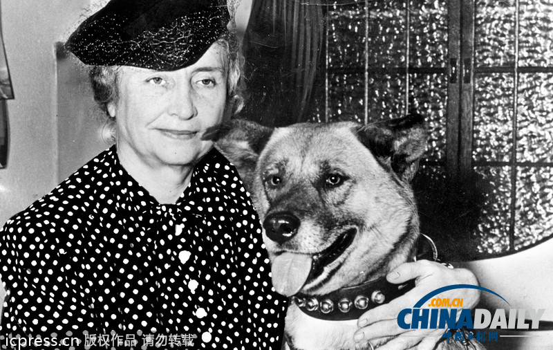 國際盲人節(jié)：看失明者自強(qiáng)不息譜寫壯美新篇章（高清組圖）