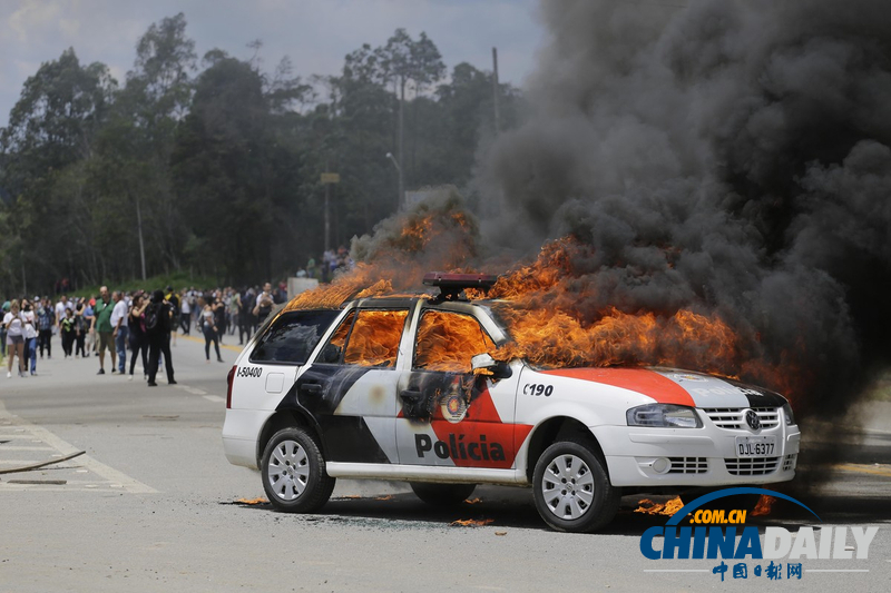 巴西民眾釋放被用于實驗狗狗 與防暴警察發(fā)生強烈沖突