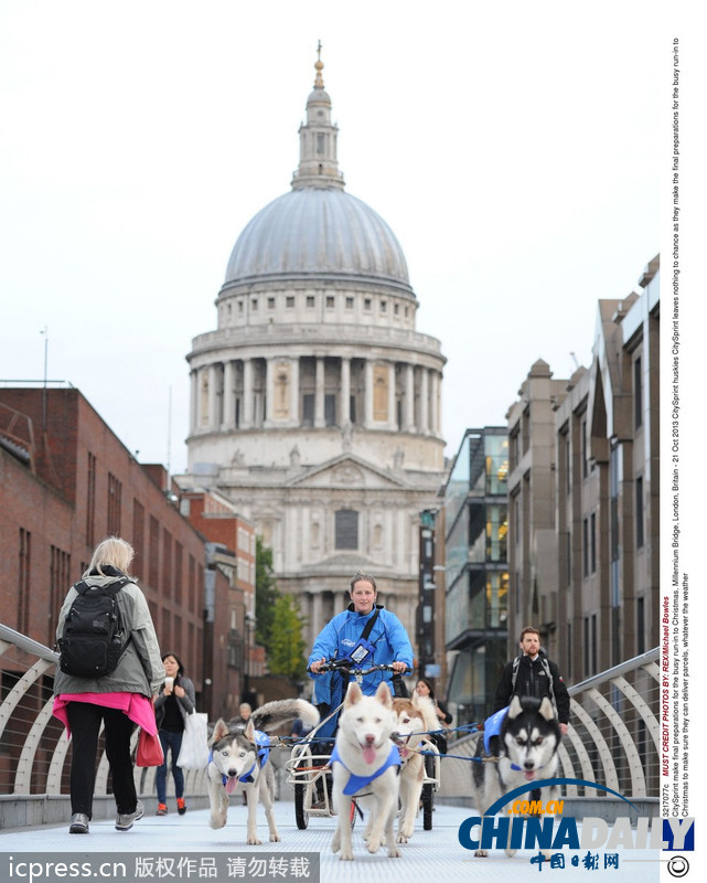 備戰圣誕季 英國快遞公司演練狗拉雪橇送包裹（高清組圖）