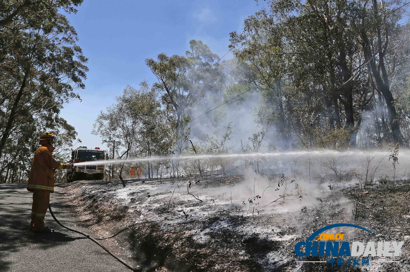 澳大利亞山火持續(xù)肆虐 滅火飛機(jī)墜毀飛行員生死未卜