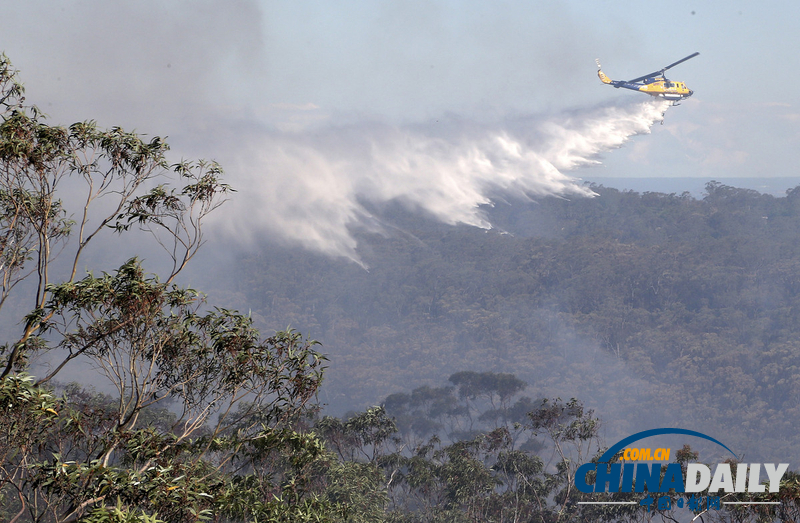 澳大利亞山火持續肆虐 滅火飛機墜毀飛行員生死未卜