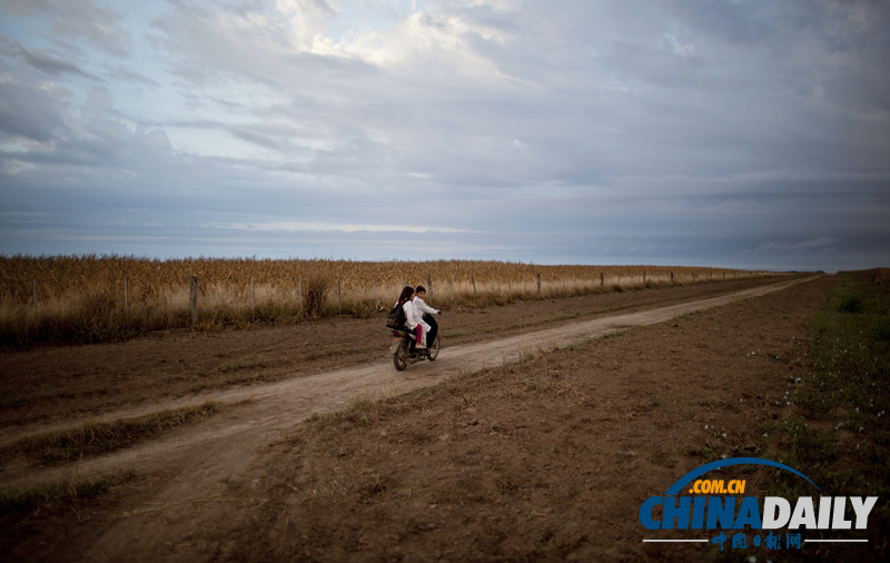 農藥遺毒深重 農業大國阿根廷付出慘痛代價