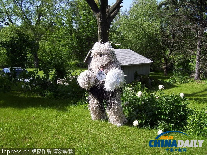 美國男子自認為狗 愛穿狗服上街閑逛