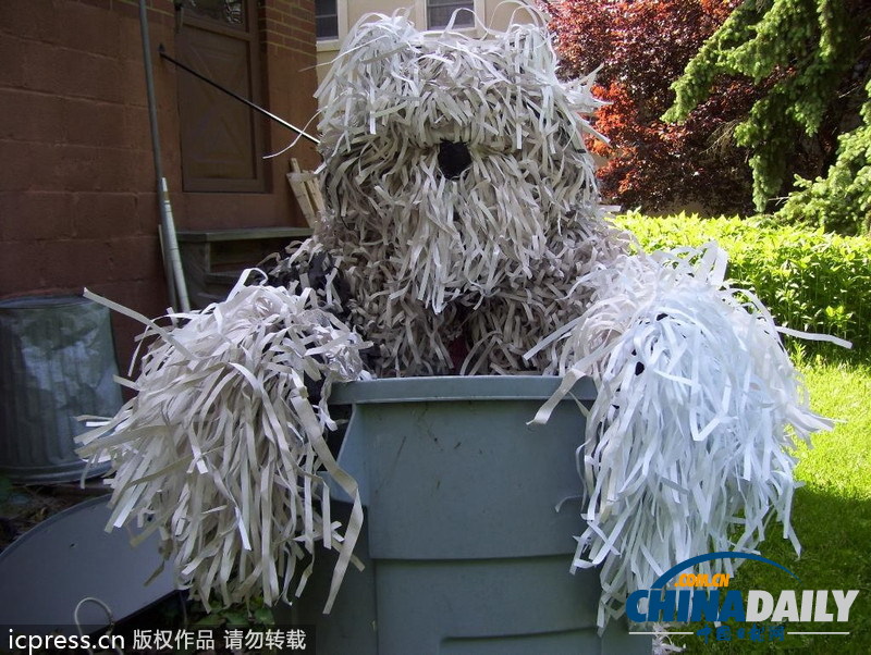 美國(guó)男子自認(rèn)為狗 愛(ài)穿狗服上街閑逛