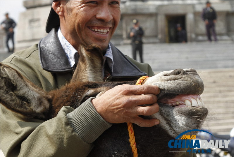 墨西哥農民騎驢騎馬示威 要求提高農產品價格