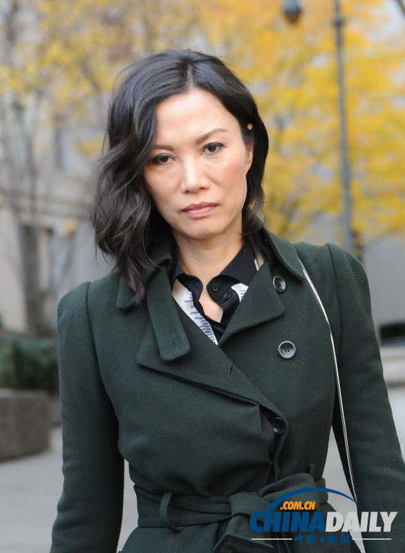 鄧文迪達成離婚協議 獲北京紐約兩處豪宅