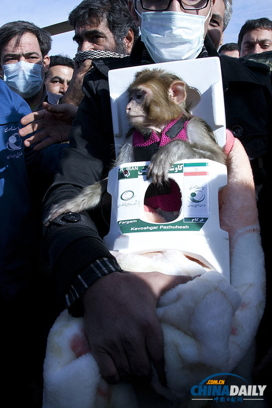 伊朗宣布成功將第二只猴子送往太空 相關照片公布