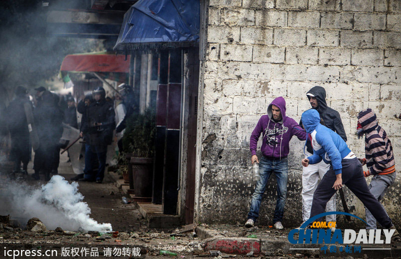 為爭(zhēng)住房惹禍端 阿爾及利亞民眾與警察發(fā)生激烈沖突