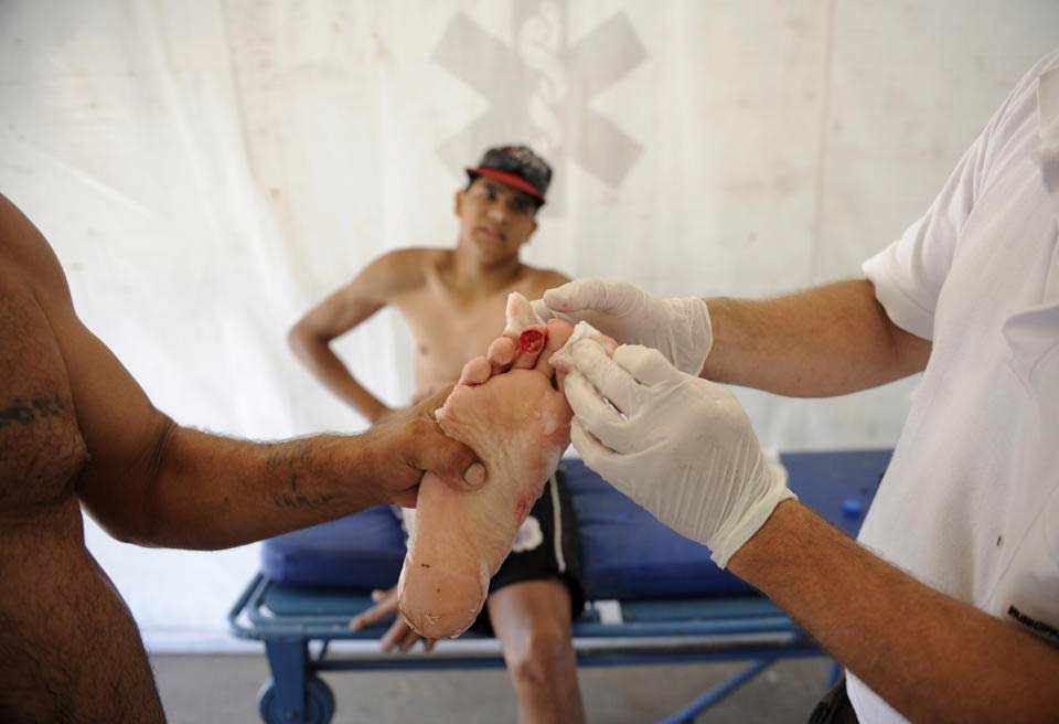 阿根廷食人魚圣誕節(jié)咬傷70余人 或異常高溫引起