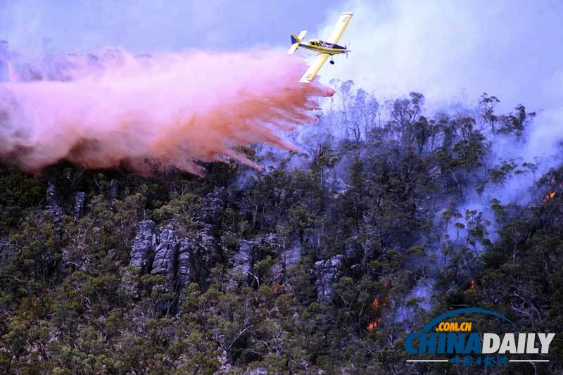 澳大利亞持續高溫引發巨大山火 當地居民撤離