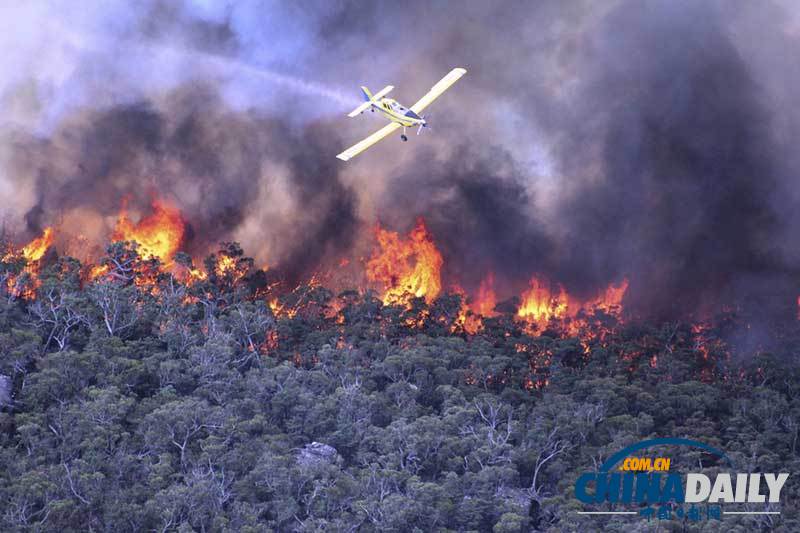 澳大利亞持續高溫引發巨大山火 當地居民撤離