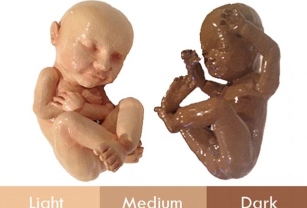 3D打印帶你見未出生胎兒！體位表情皮膚性別皆可見