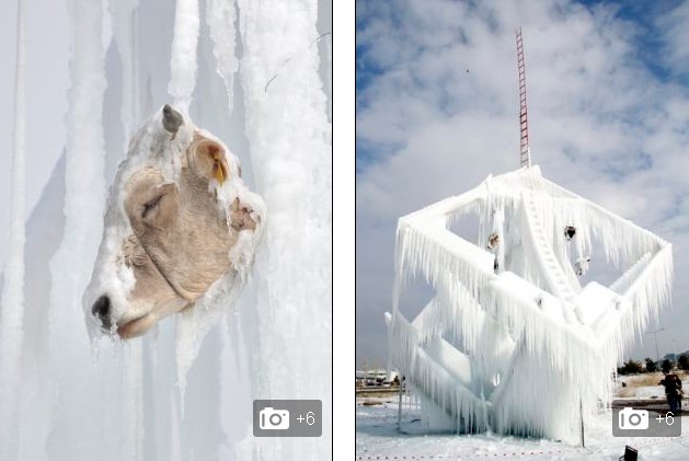 土耳其教授用牛頭制作恐怖冰雕 呼吁反對校園暴力