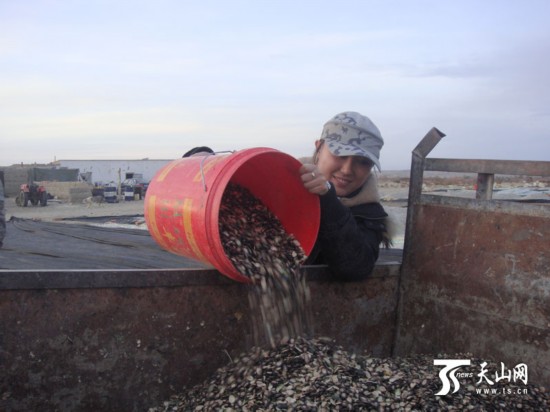 劉佳：80后女大學生回鄉種地 讓戈壁灘變新型農場
