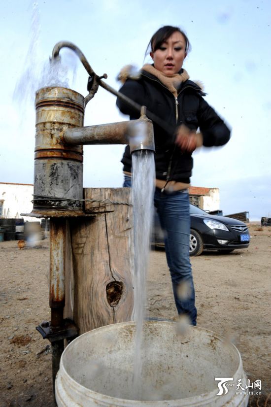 劉佳：80后女大學生回鄉種地 讓戈壁灘變新型農場