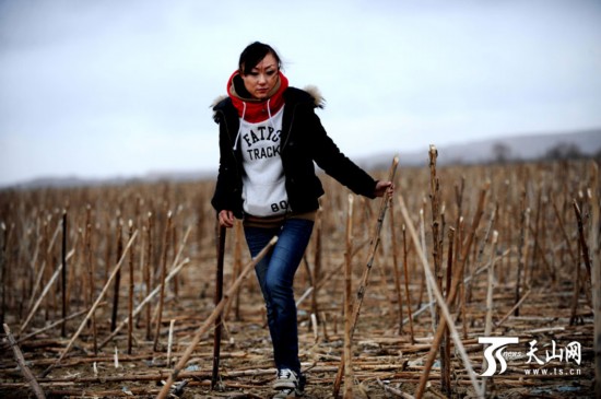 劉佳：80后女大學(xué)生回鄉(xiāng)種地 讓戈壁灘變新型農(nóng)場