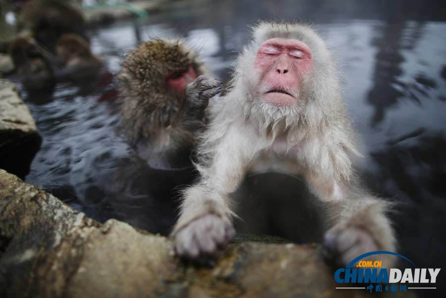 一周看天下:法國總統(tǒng)與女友分手