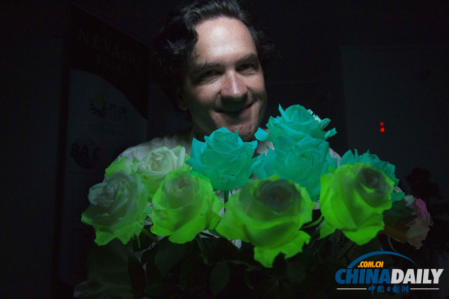 神秘的厄瓜多爾熒光玫瑰 如夢似幻(圖)