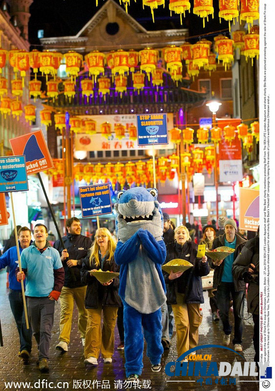 動物保護組織搭馬年順風車 唐人街示威抗議食用鯊魚翅