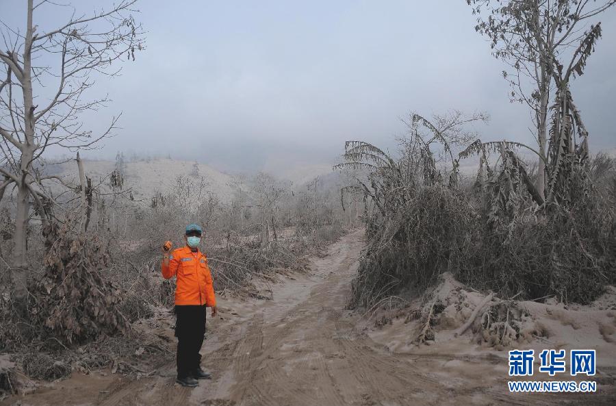 印尼錫納朋火山噴發(fā) 十多人喪生