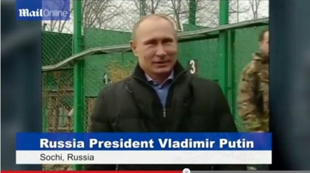 普京現身索契 與勇猛波斯豹幼崽玩耍